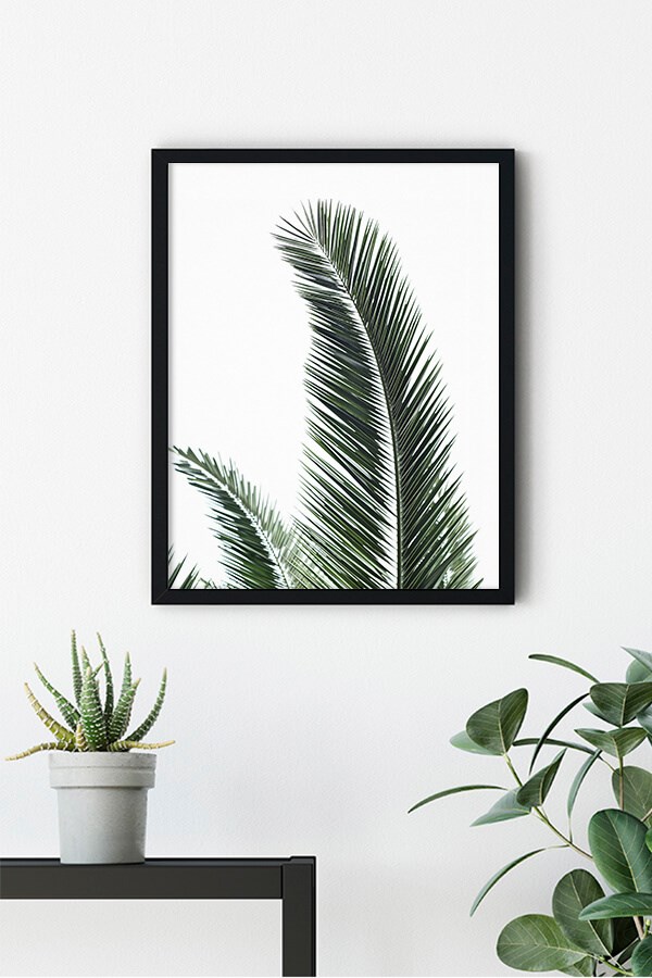 Palm Leaf No: 2 Poster