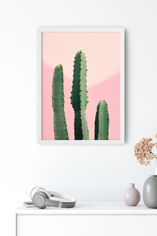 Pink Cactus Poster
