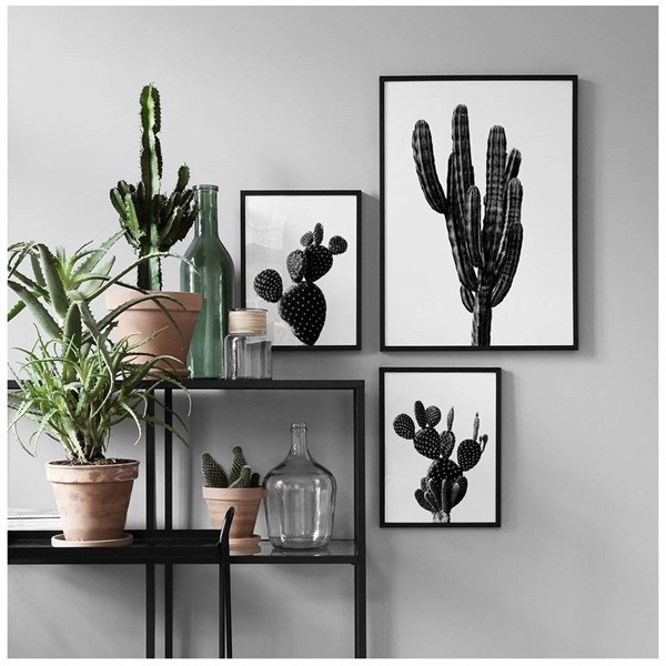 Black and White Cactus Gallery Wall