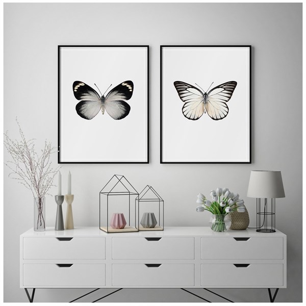 Siyah Beyaz Kelebek Poster Seti