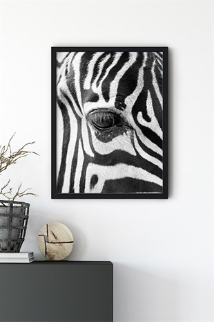 Zebra No:1 Poster