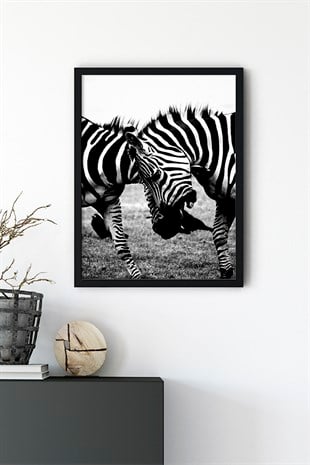 Zebra No:2 Poster