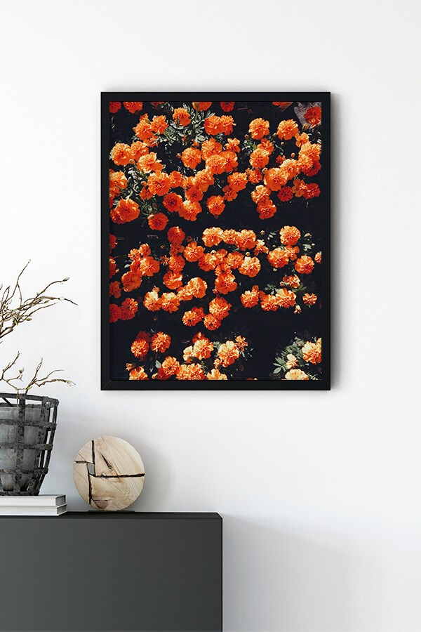 Orange Flower Poster