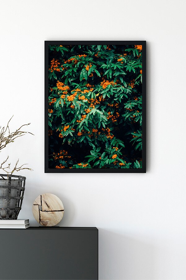 Green Leaf Orange Flower Poster