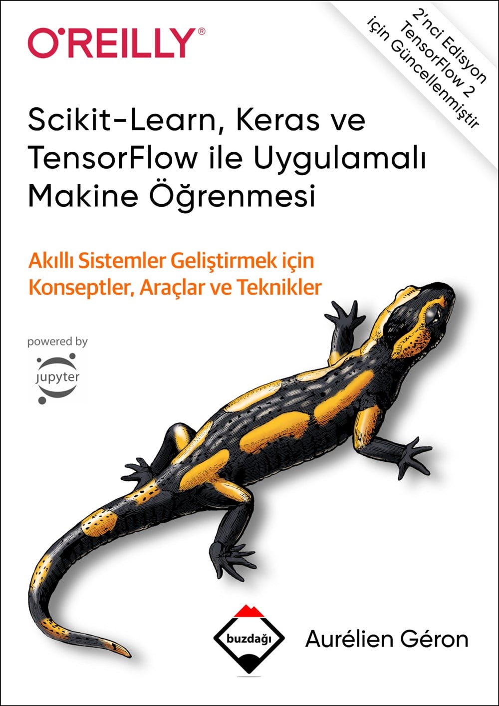 Scikit-Learn, Keras ve TensorFlow ile Uygulamalı Makine Öğrenmesi (Renkli Baskı - Sıvama Cilt Kapaklı)