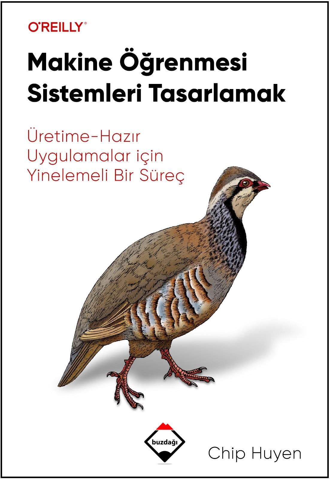 Makine Öğrenmesi Sistemleri Tasarlamak