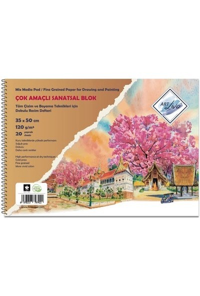Sanatsal Resim Defterleri Art Liva Sanatsal Resim Defteri Multi Teknik 20 Sayfa 35x50 120gr Satın Al