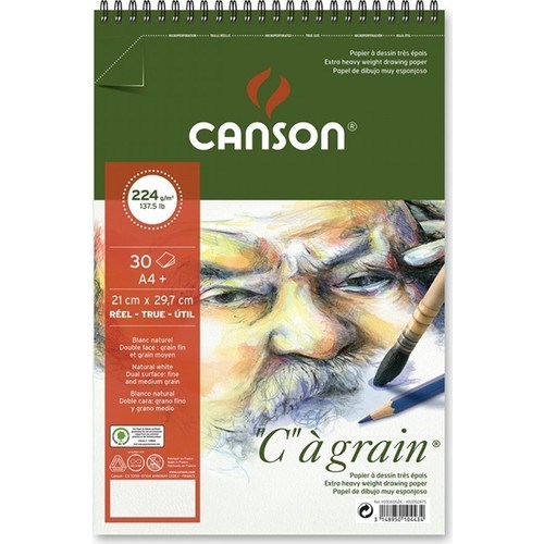 Sanatsal Resim Defterleri Canson Cagrain Eskiz Blok Spiralli 30 Sayfa A4+ 224gr Satın Al