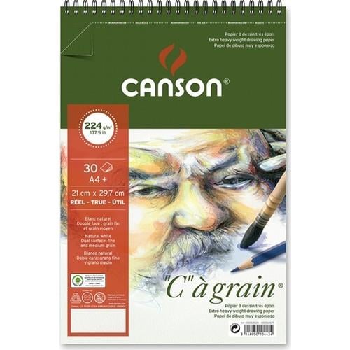 Sanatsal Resim Defterleri Canson Cagrain Eskiz Blok Spiralli 30 Sayfa A4+ 224gr Satın Al