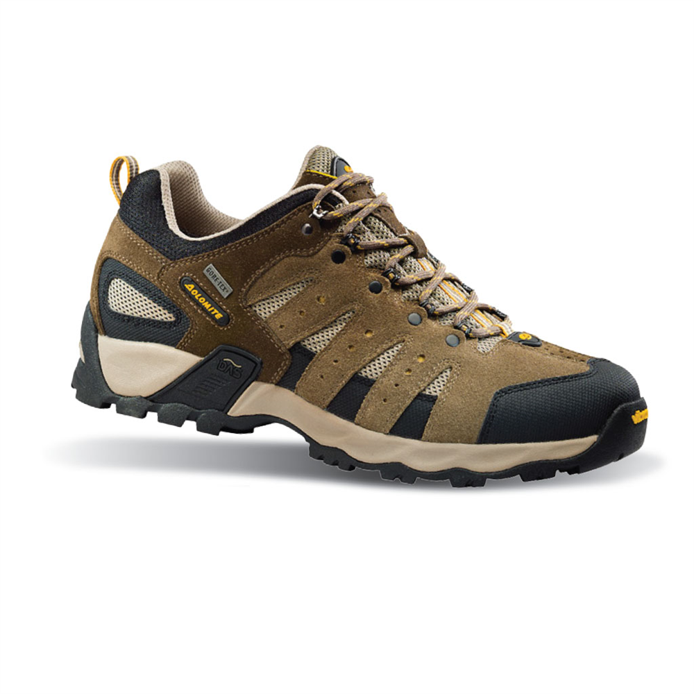 Dolomite Sparrow Low GTX Trekking Erkek Ayakkabı