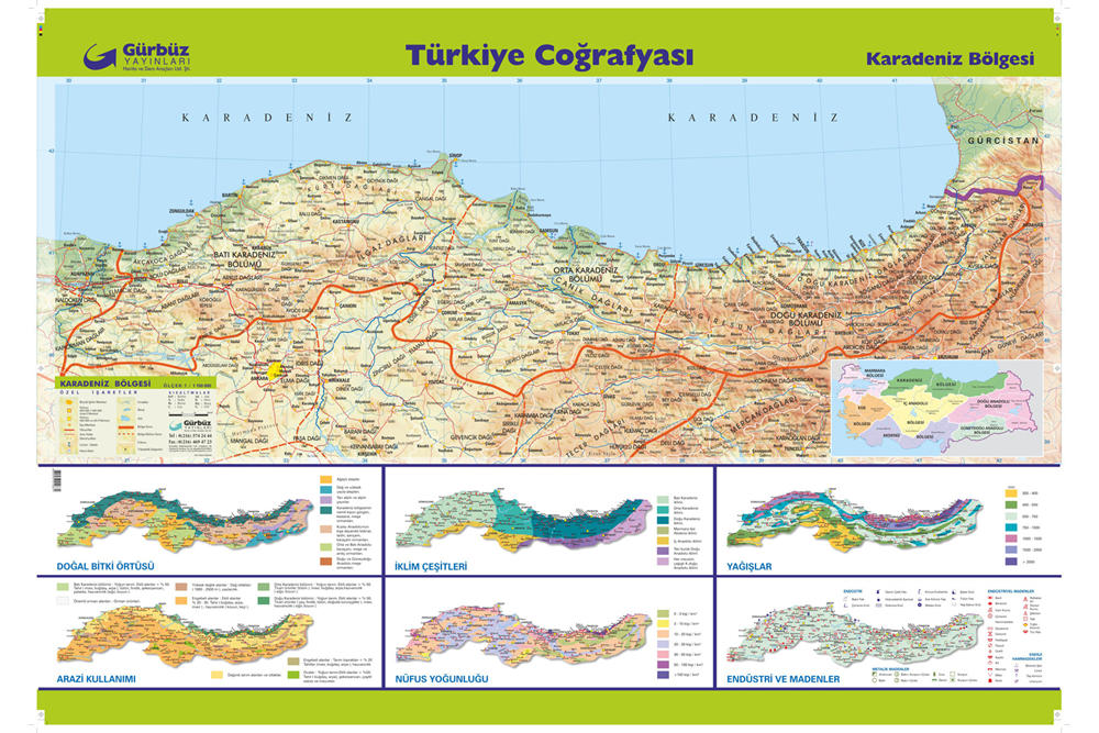 Gürbüz Karadeniz Bölgesi  