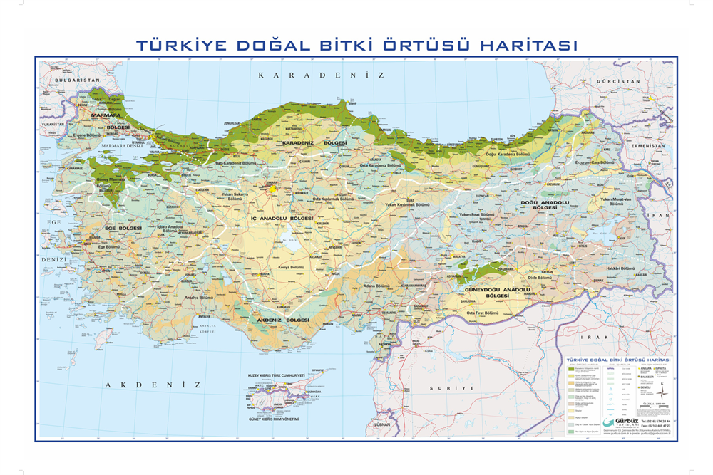 Gürbüz Türkiye Bitki Örtüsü       