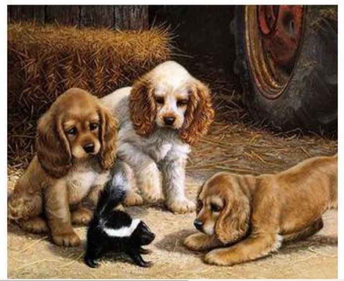 Sanatsal Resim Defterleri Art Liva Sayılarla Boyama Hobi Seti Tuvalli 40x50 cm Köpekler Satın Al