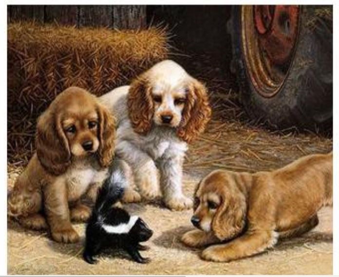 Sanatsal Resim Defterleri Art Liva Sayılarla Boyama Hobi Seti Tuvalli 40x50 cm Köpekler Satın Al