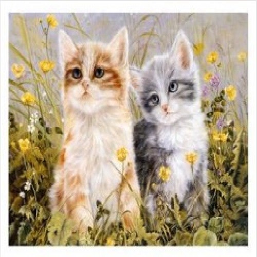 Sanatsal Resim Defterleri Art Liva Sayılarla Boyama Hobi Seti Tuval 40x50 cm Kediler Satın Al