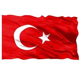 Bayrak ve Flama Vatan 103 Türk Bayrağı 40X60 Satın Al