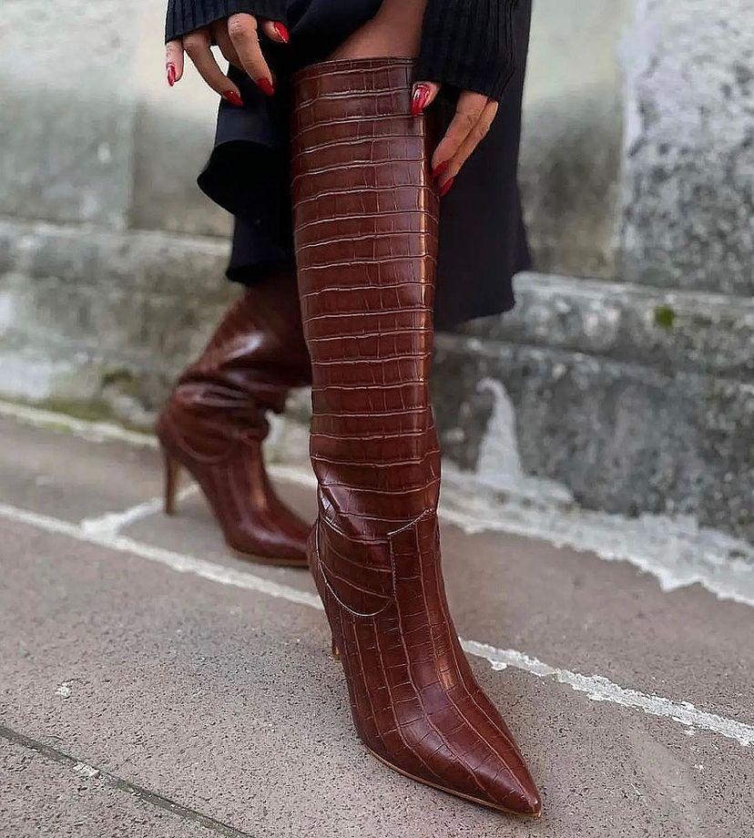 Begy Kroko Çizme