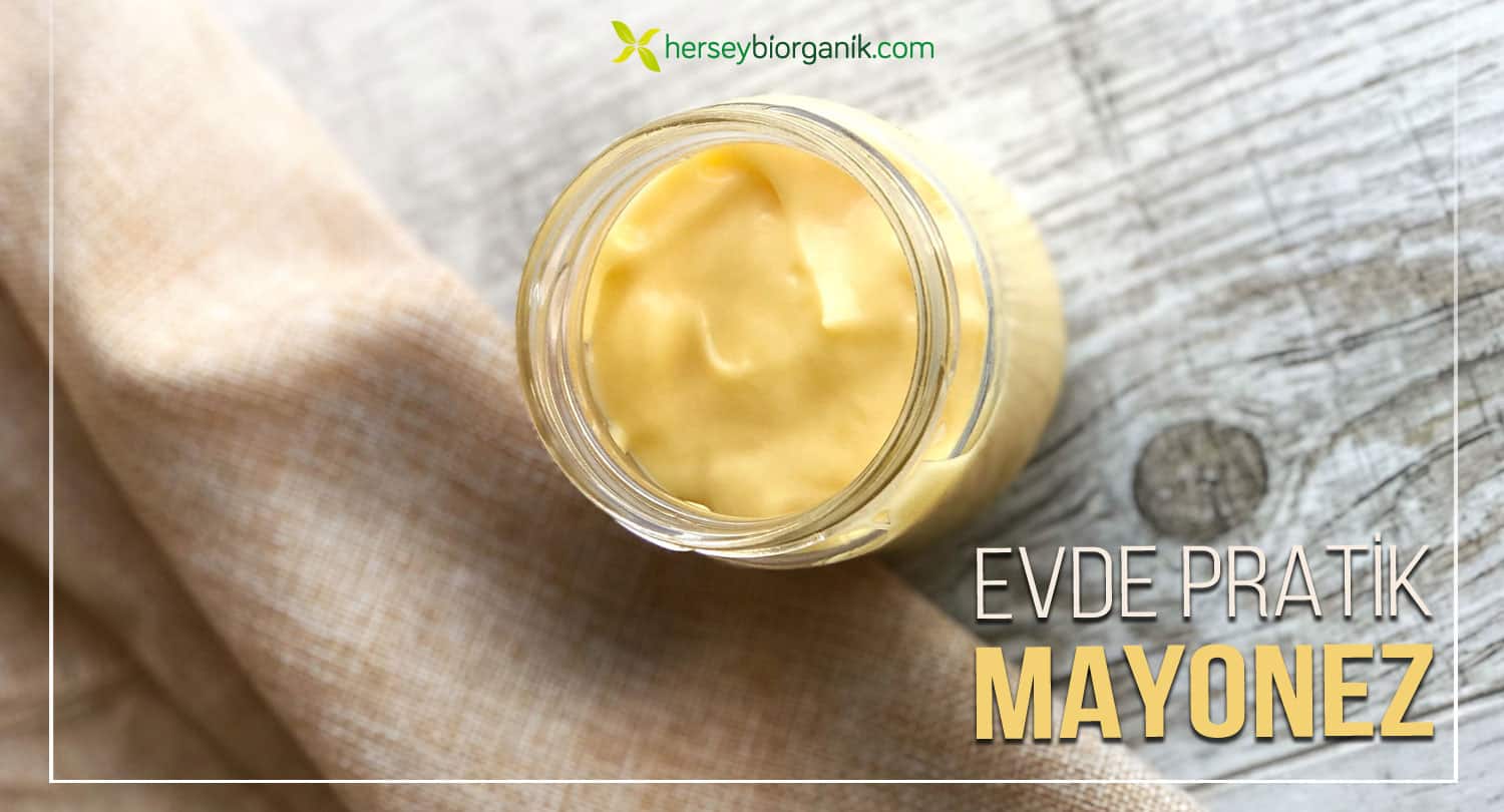 Evde mayonez yapımı