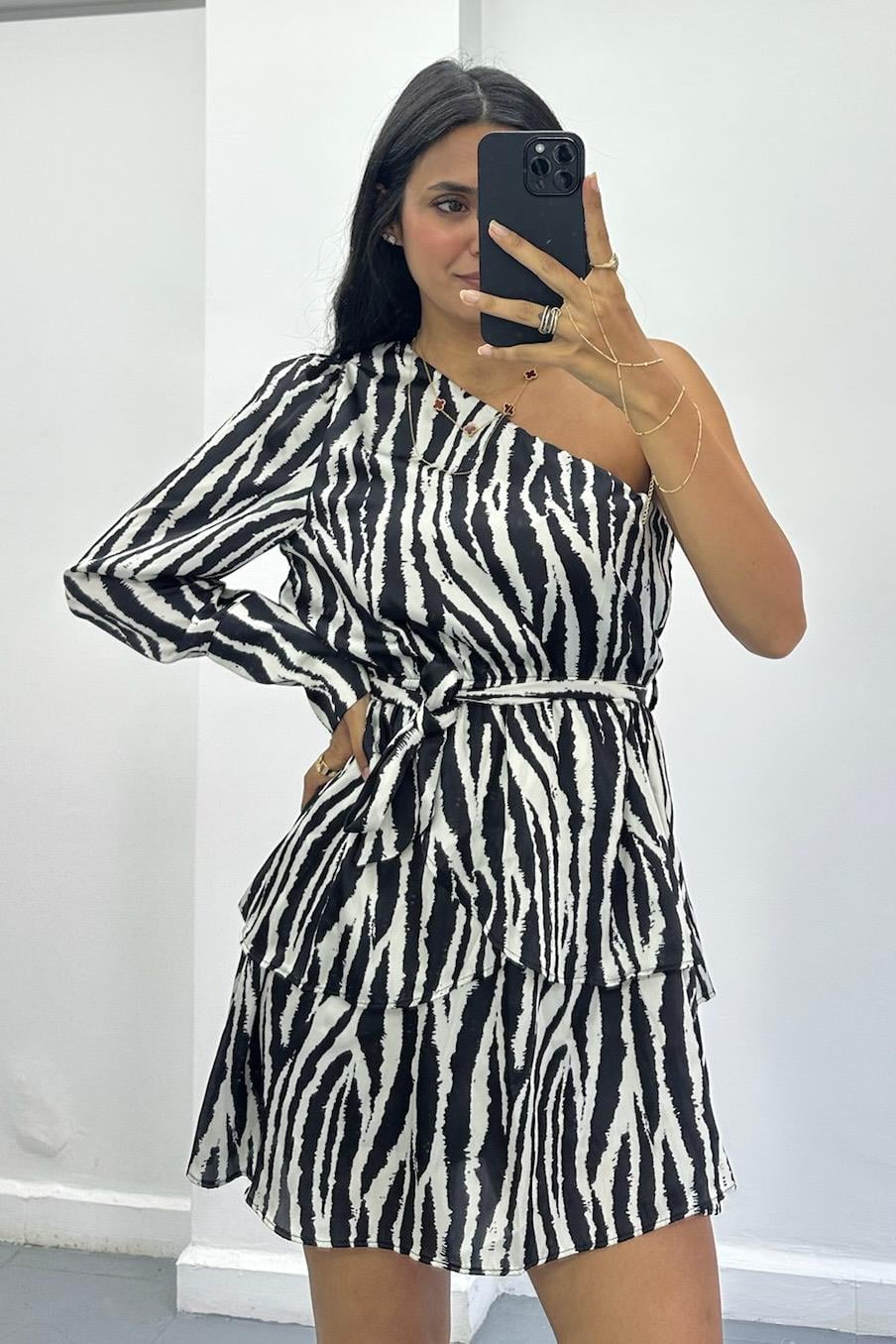 Zebra Desen Tek Kol Elbise