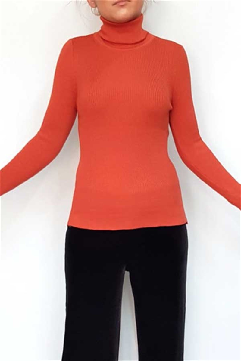 Balıkçı Yaka Triko Bluz