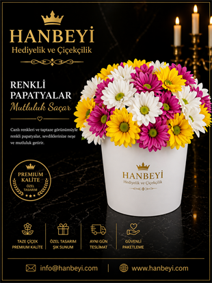 Renkli Papatyalar | Premium Saksıda Canlı Papatya Aranjmanı Avcılar Çiçekçi