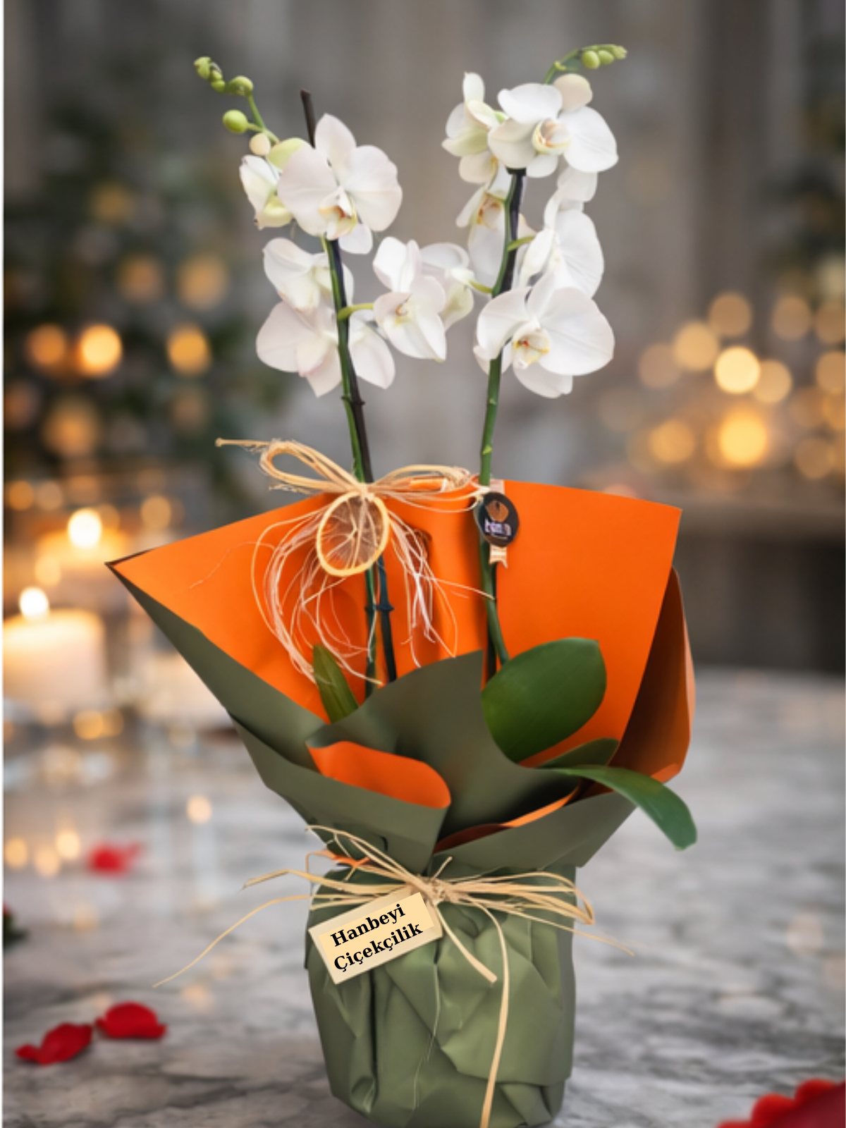 Çift Dal Beyaz Orkide – Zarif Premium Orkide Tasarımı | Hanbeyi KIZ İSTEME BUKETİ