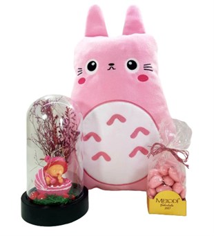 Hoş Geldin Bebek Hediyesi Pembe Totoro Yastık  Büyük Boy Işıklı Teraryum Melodi Çikolata Kişiye Özel;