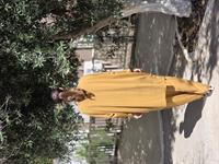 bahar salaş ikili takım hardal sarısı