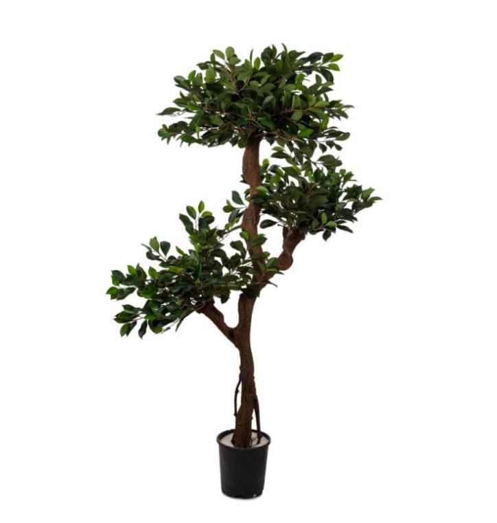 Yapay Ficus Retusa