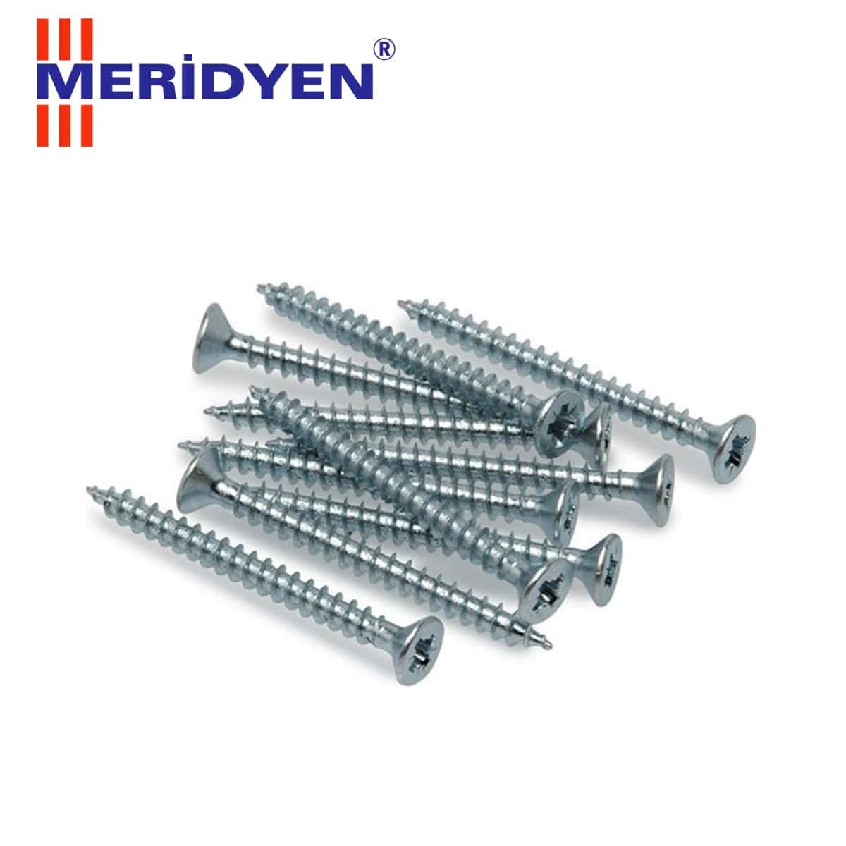 MERİDYEN SUNTA VİDASI