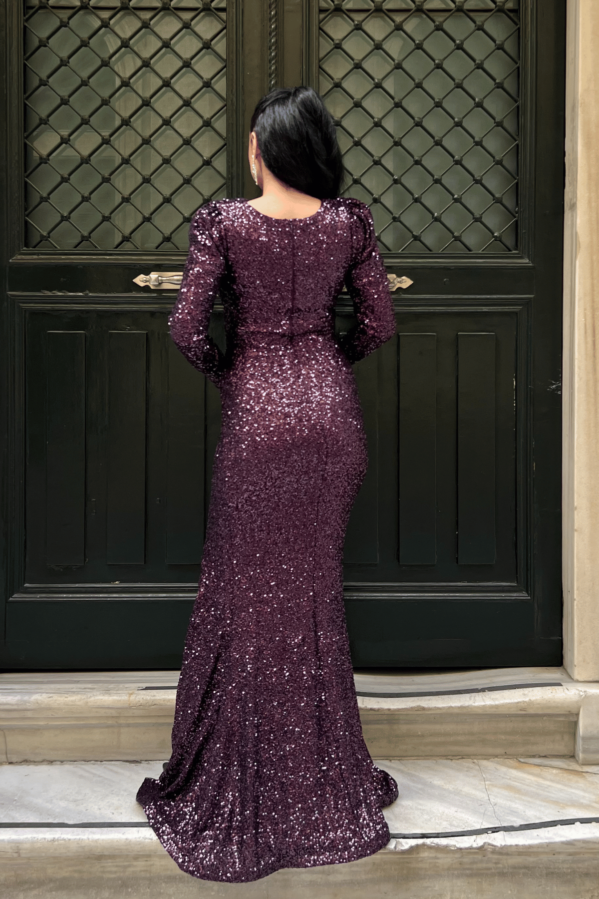 Pul Payet Kumaş Kruvaze Yaka Balık Elbise - PATLICAN MOR