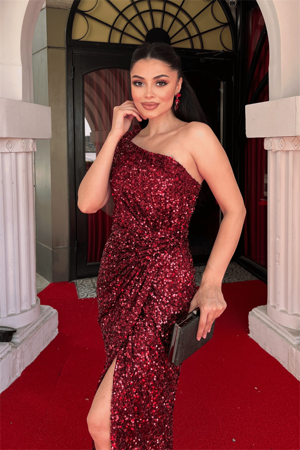 Payet Kumaş Tek Kol Kalem Elbise - BORDO