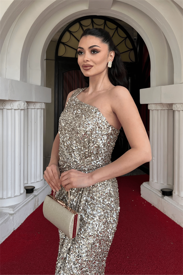 Payet Kumaş Tek Kol Kalem Elbise - GOLD