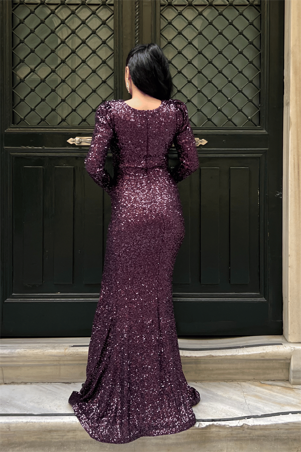 Pul Payet Kumaş Kruvaze Yaka Balık Elbise - PATLICAN MOR