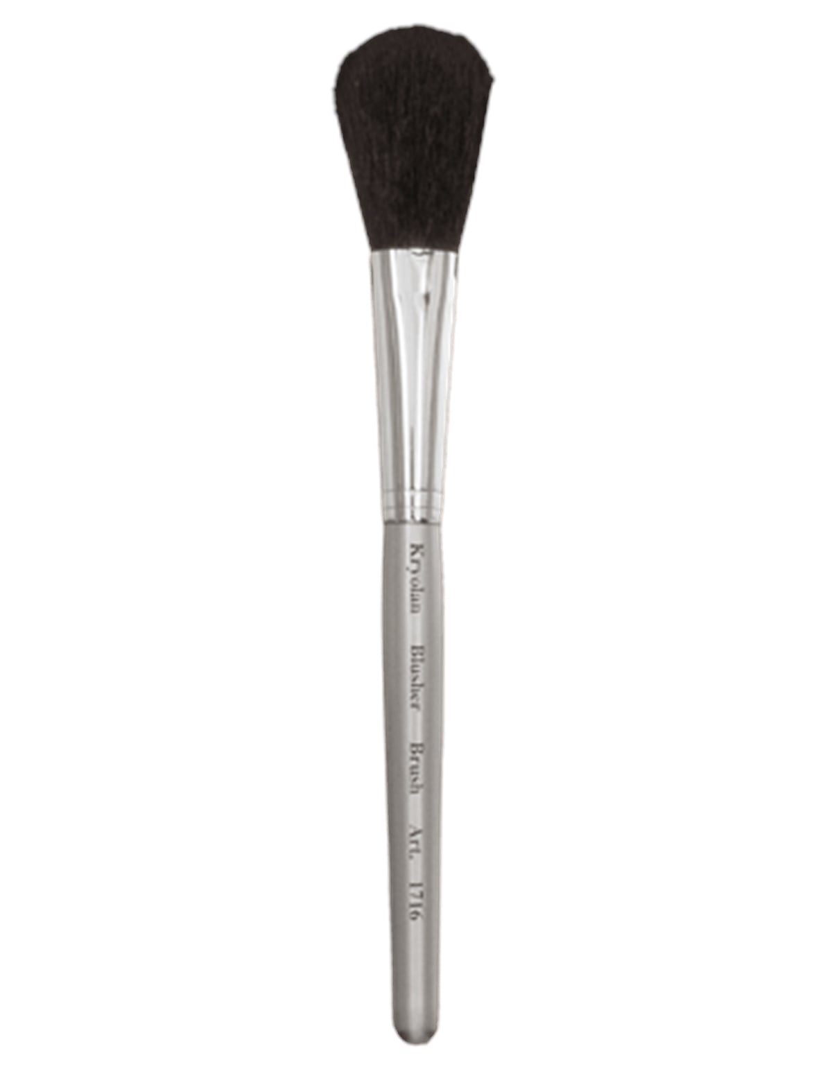 Professional Blusher Brush 6