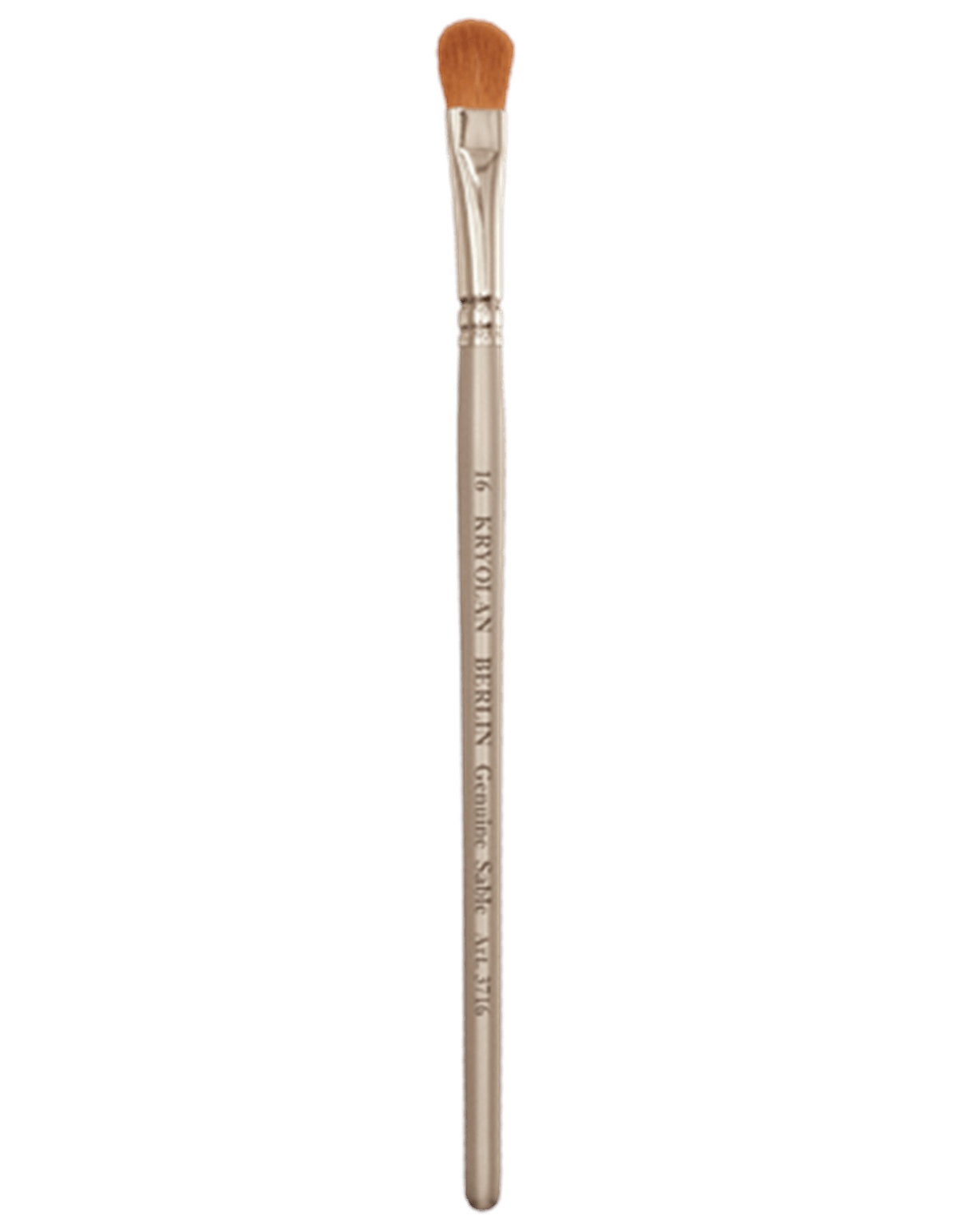 Professional Filbert Brush 16