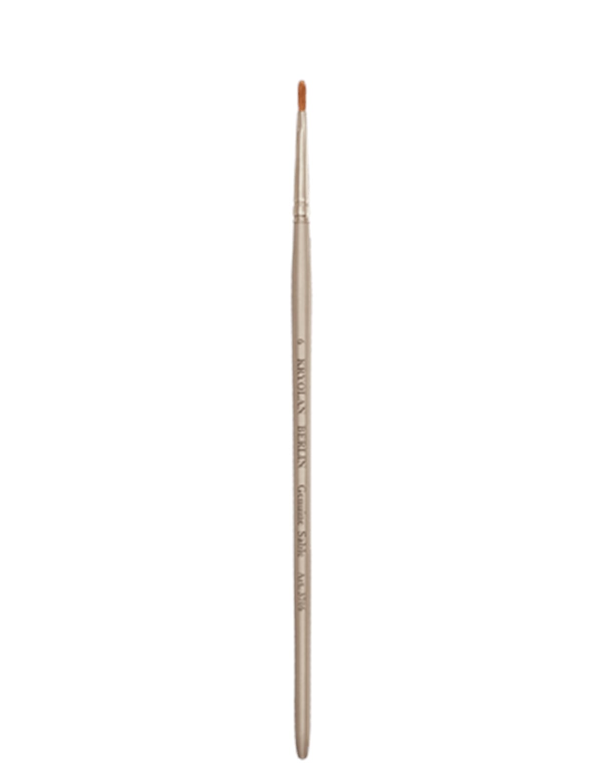 Professional Filbert Brush 6