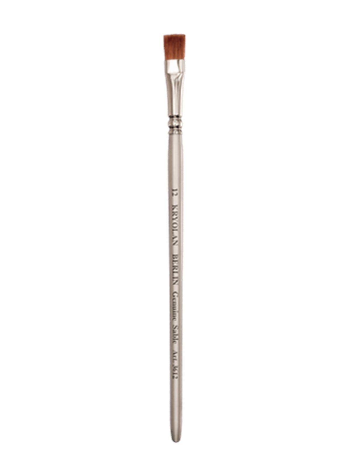 Professional Flat Brush 12