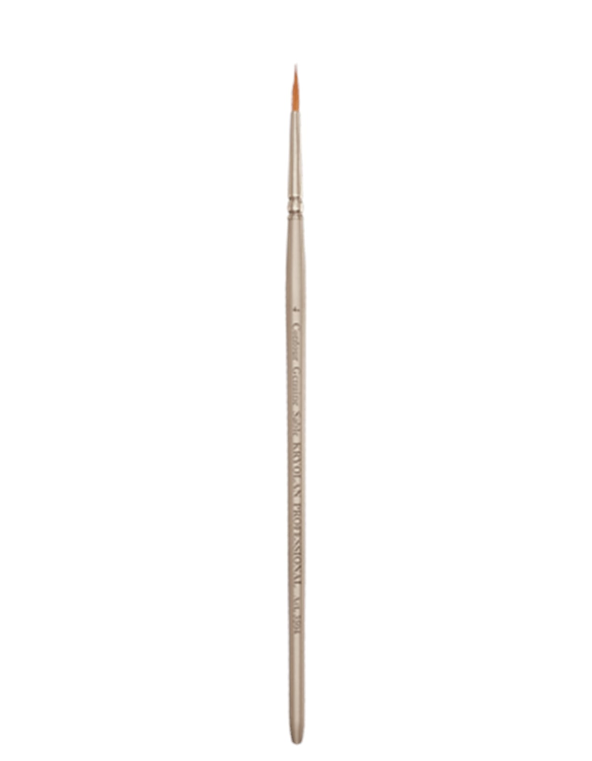 Professional Round Brush 4