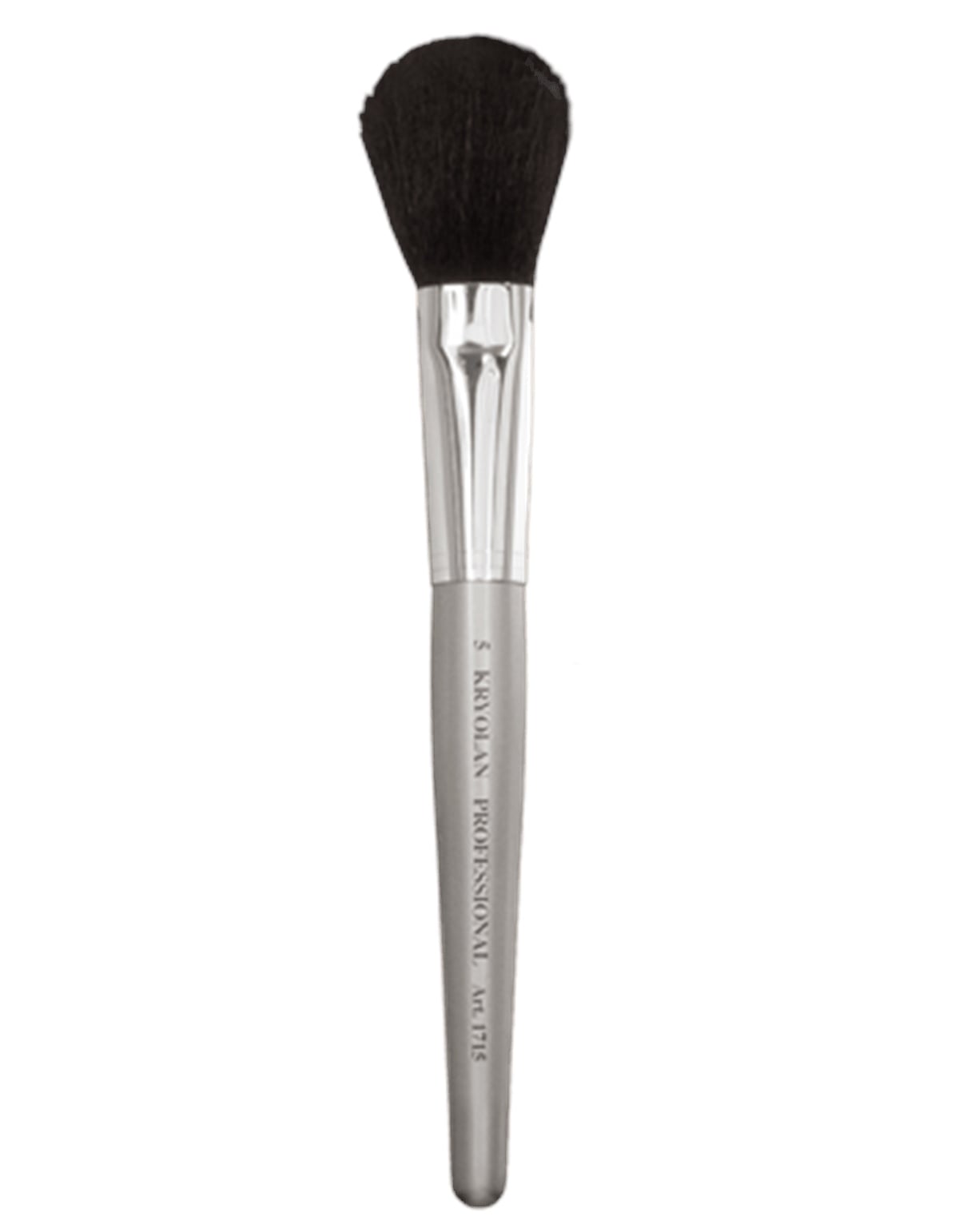 Professional Powder Brush 5