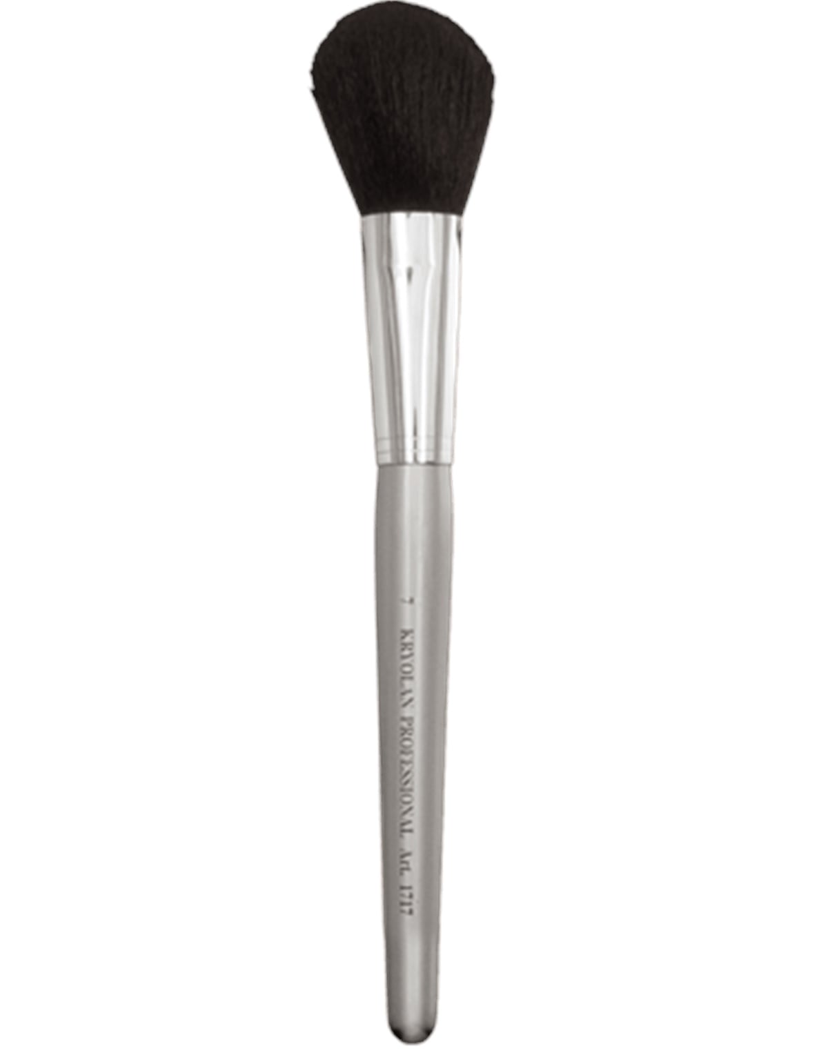 Professional Powder Brush 7