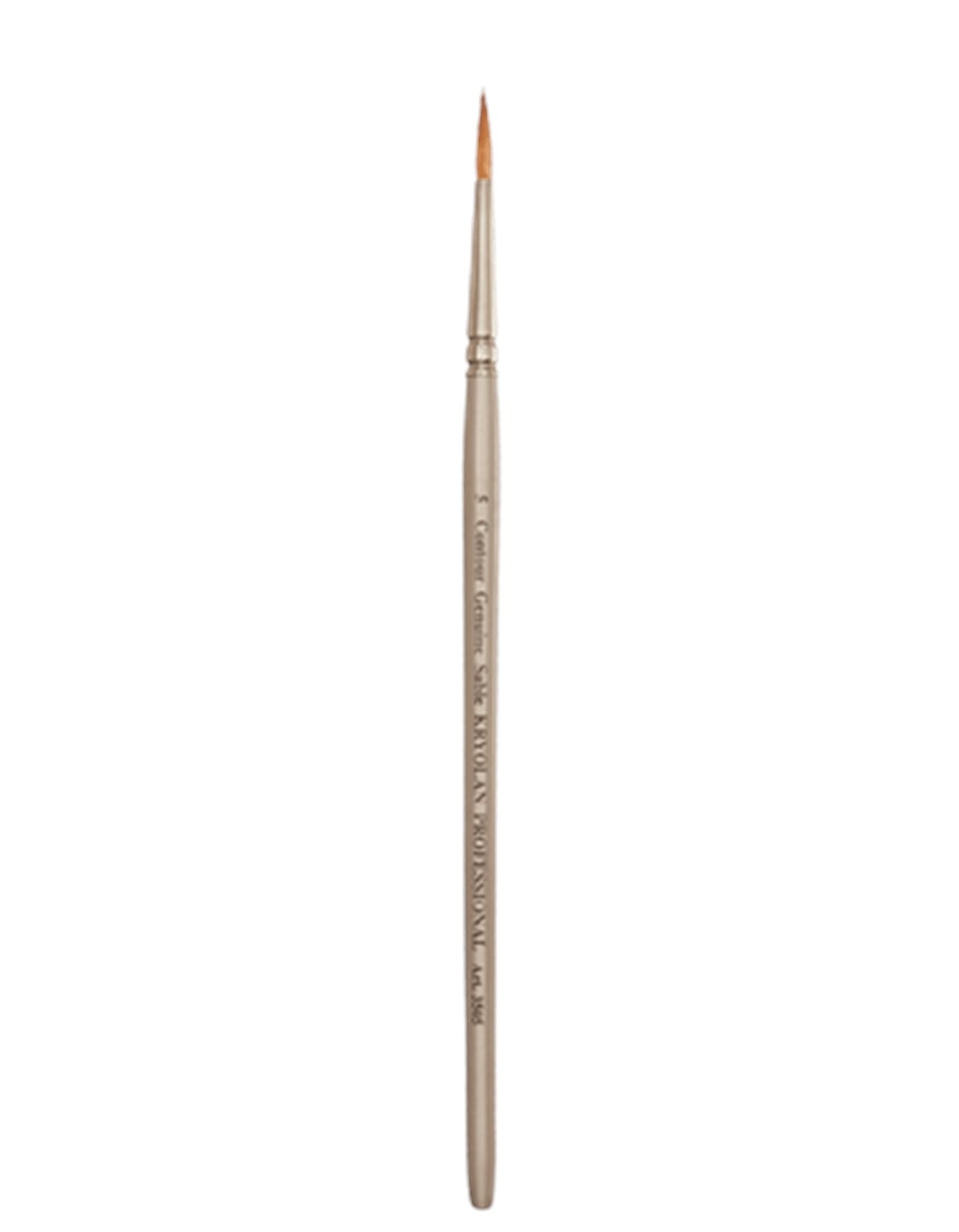Professional Round Brush 5