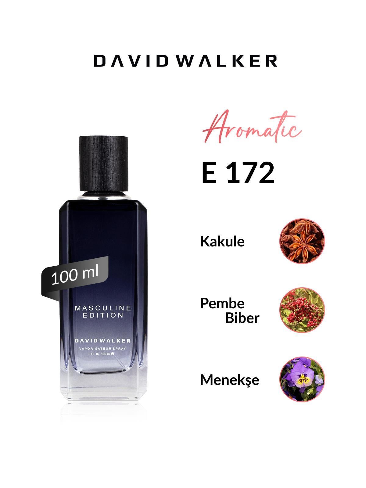 David Walker E172 Strong 100 ml Erkek Parfüm | Aromatic