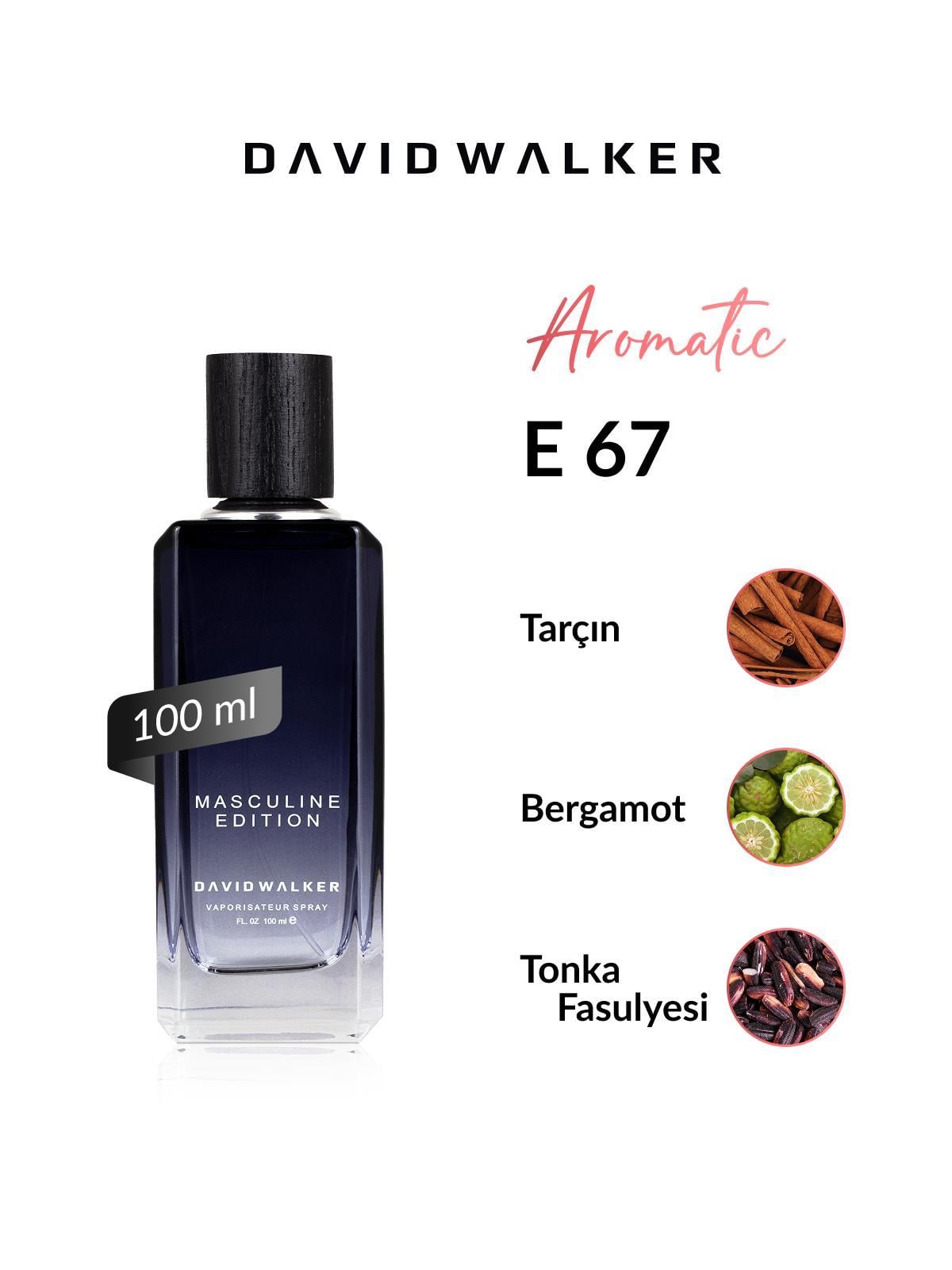 David Walker E67 Tom 100 ml Erkek Parfüm | Aromatic