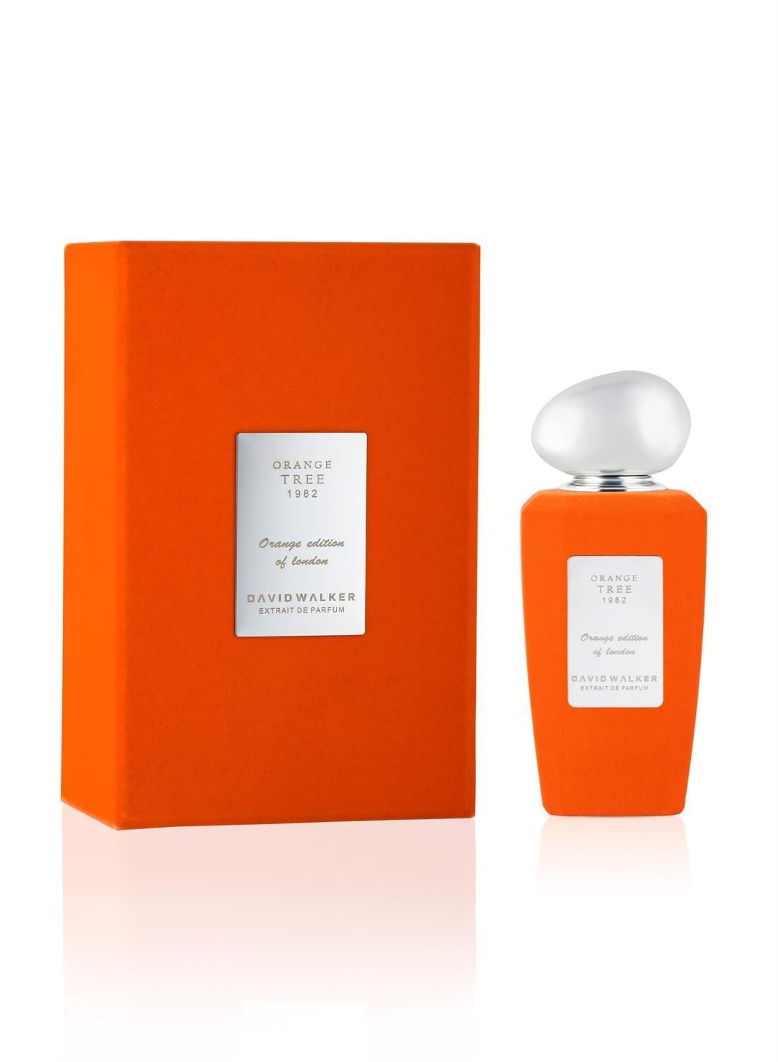 ORANGE TREE 1982