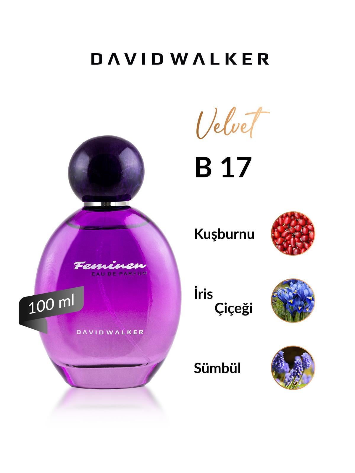 David Walker HOLLYWOOD B17 100ML Bayan Parfüm