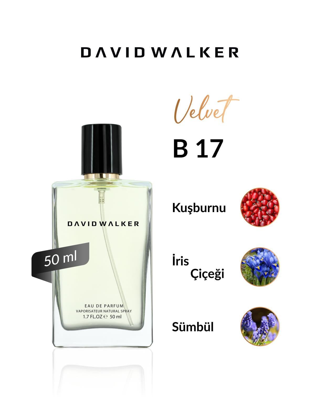 David Walker B17 Hollywood 50 ml Kadın Parfüm | Velvet
