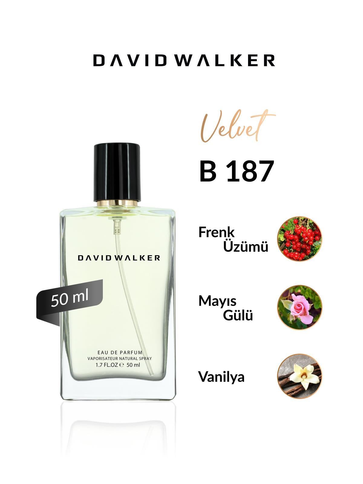 David Walker B187 Sierra 50 ml Kadın Parfüm | Velvet