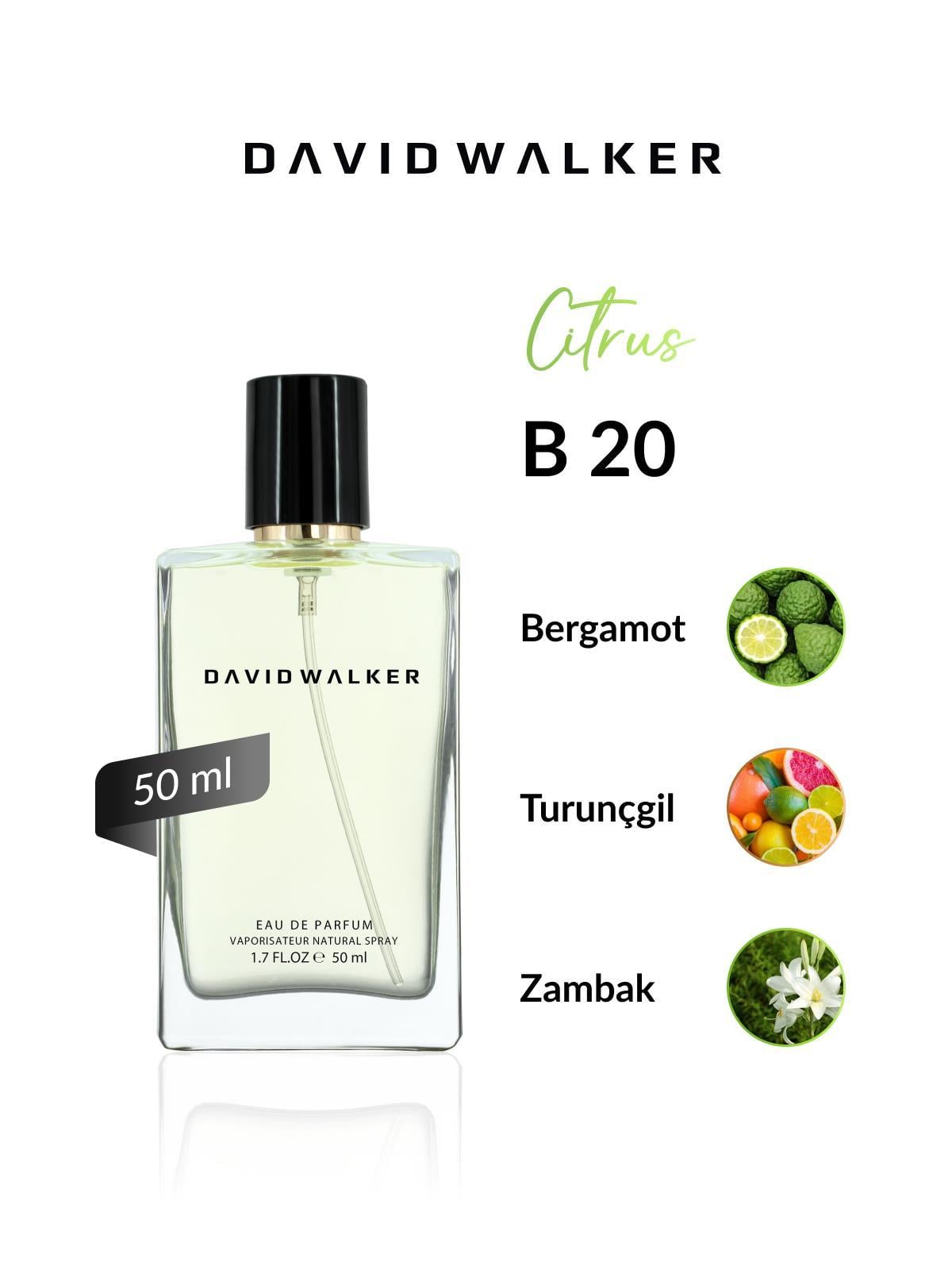 David Walker B20 Agetti 50 ml Kadın Parfüm | Citrus