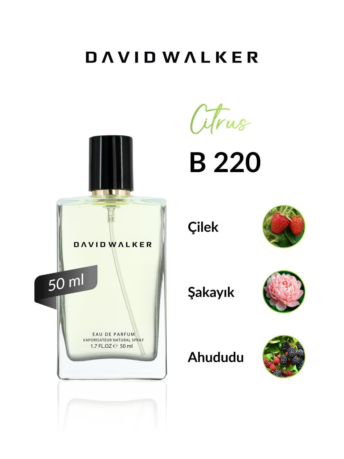 David Walker B220 Moonlight 50 ml Kadın Parfüm | Citrus